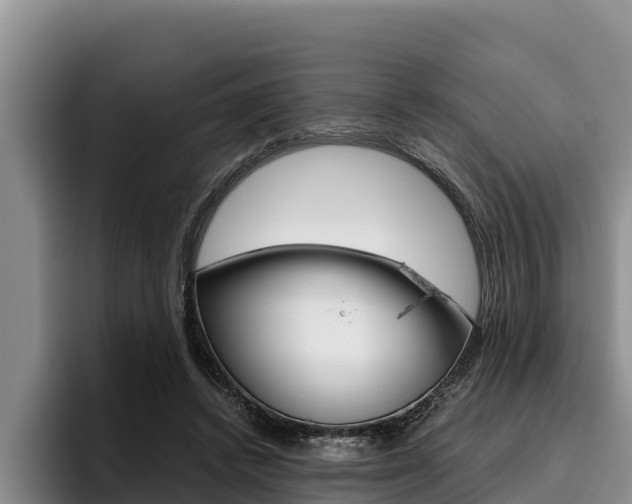 X0000096220448200801181033
