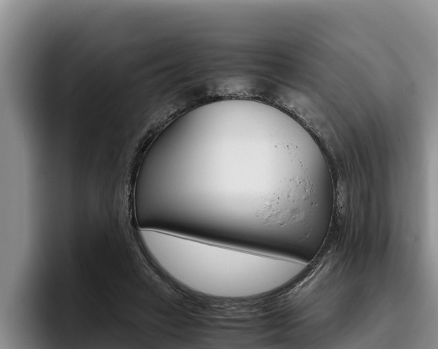 X0000096220449200801181033