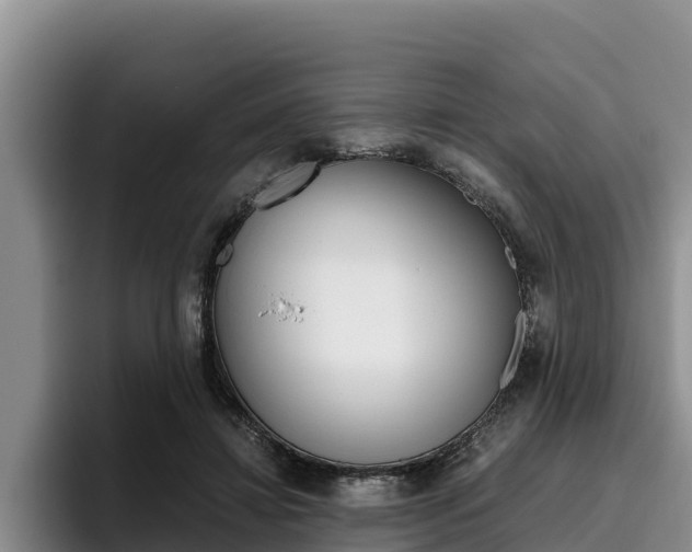 X0000096220452200801181033