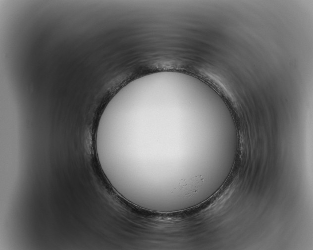 X0000096220453200801181033