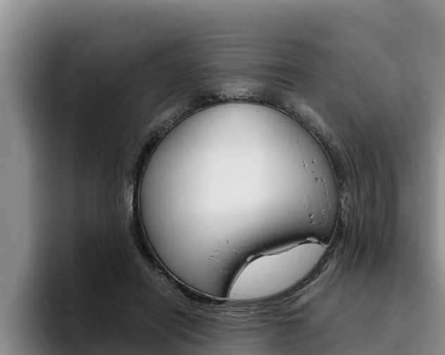 X0000096220454200801181033