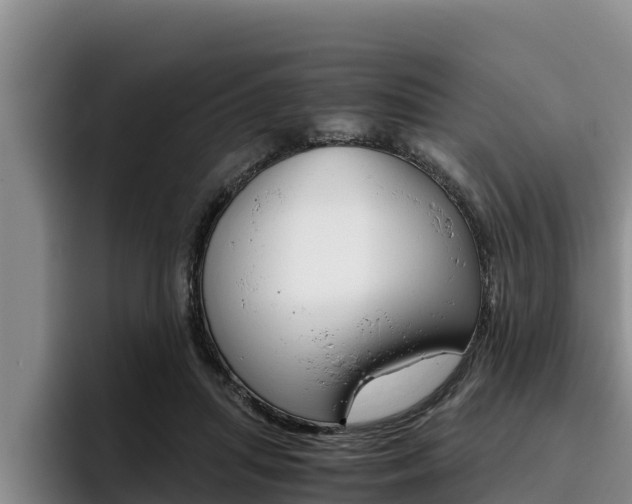 X0000096220455200801181033