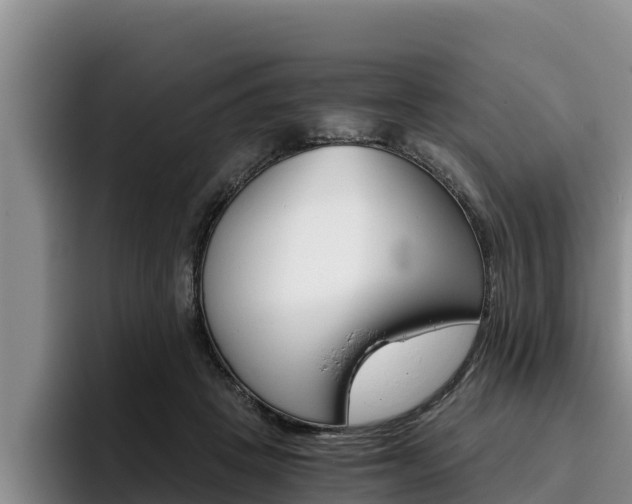 X0000096220457200801181033