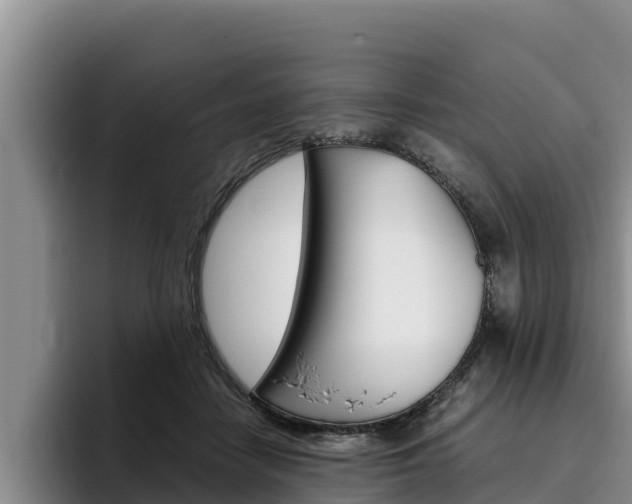 X0000096220458200801181033
