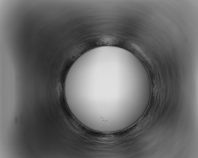 X0000096220459200801181033