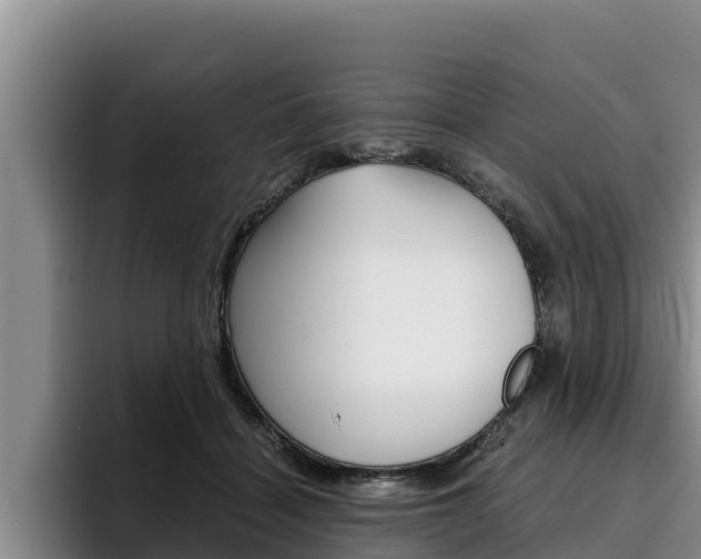 X0000096220460200801181033