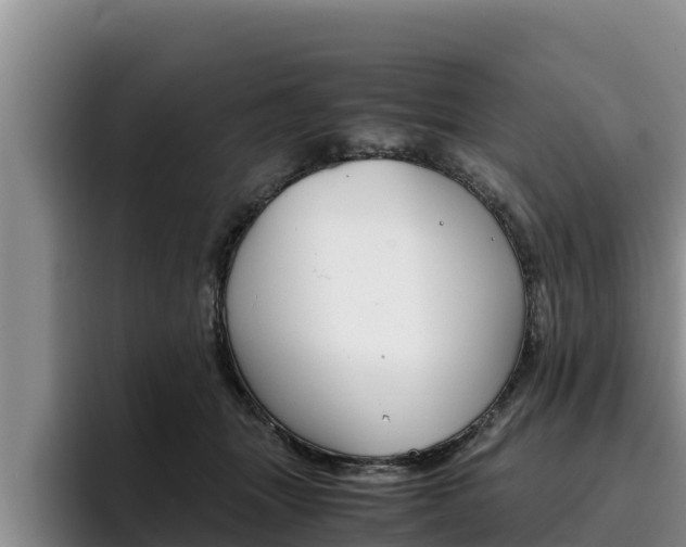 X0000096220463200801181033