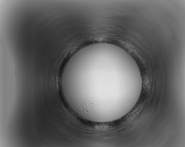 X0000096220470200801181033