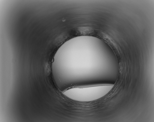 X0000096220471200801181033