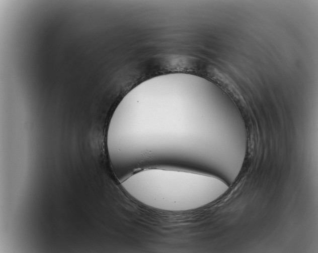 X0000096220473200801181033