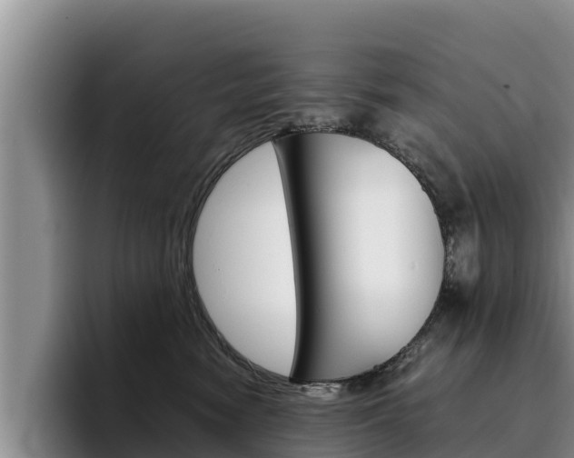 X0000096220474200801181033