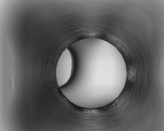 X0000096220476200801181033