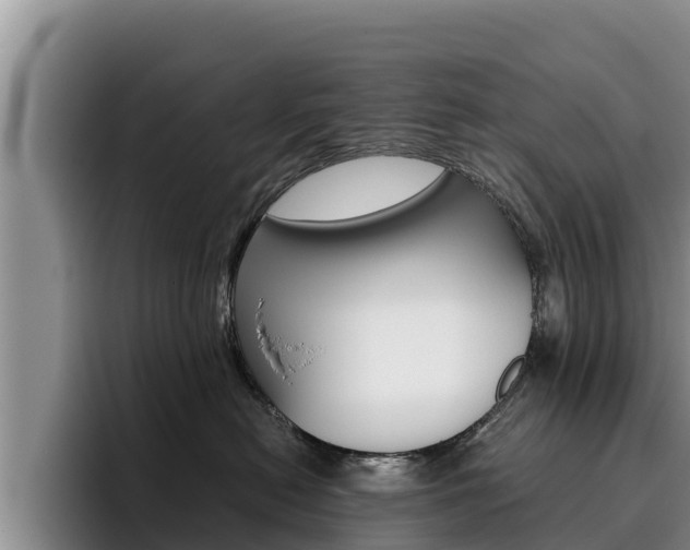 X0000096220478200801181033
