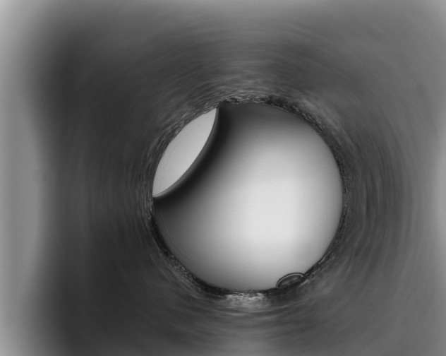 X0000096220480200801181033