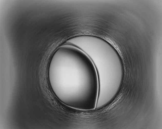 X0000096220481200801181032