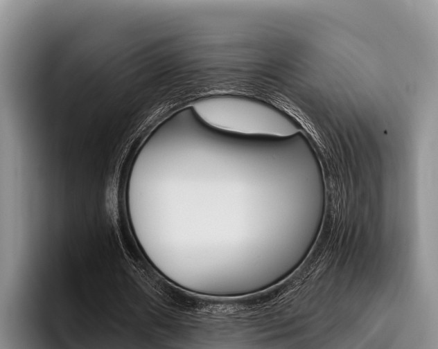 X0000096220482200801181032