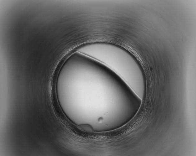 X0000096220483200801181032