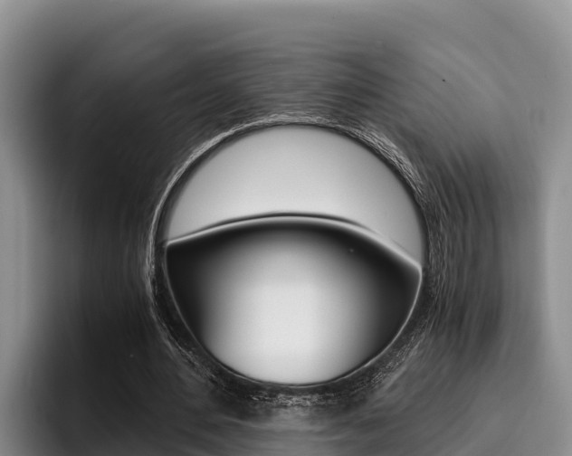 X0000096220484200801181032