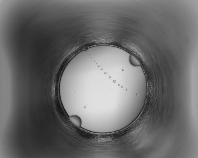 X0000096220491200801181032