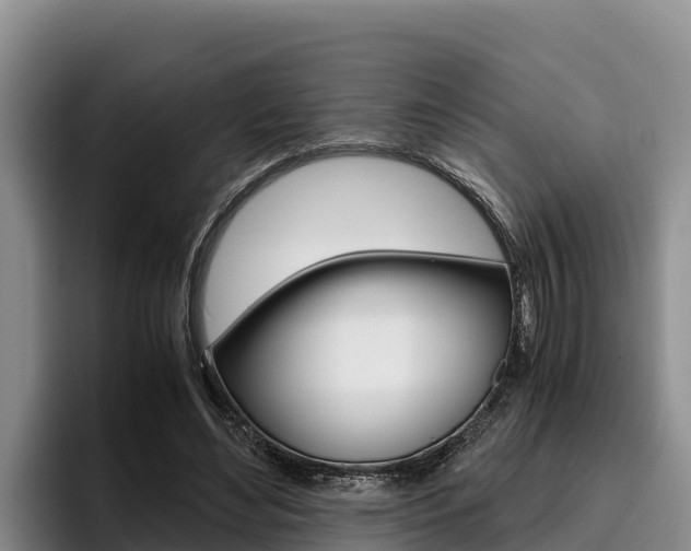 X0000096220492200801181032