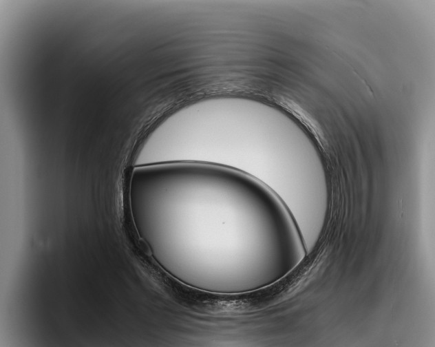 X0000096220493200801181032