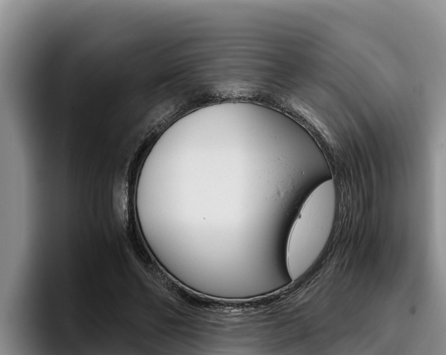 X0000096220494200801181032