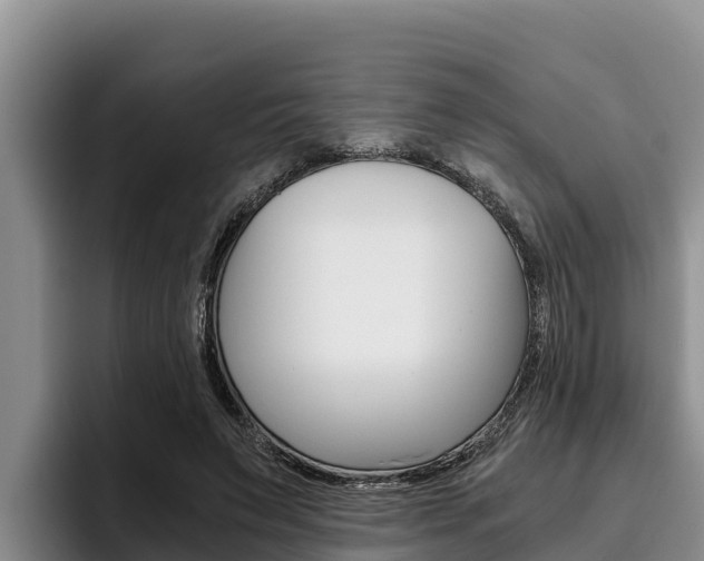 X0000096220495200801181032