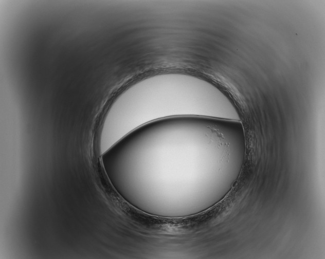 X0000096220496200801181032