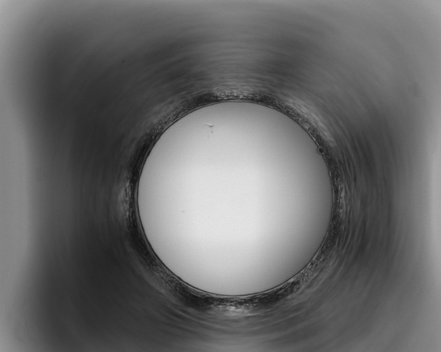 X0000096220498200801181032