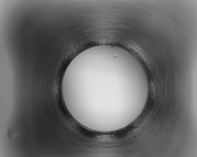 X0000096220499200801181032