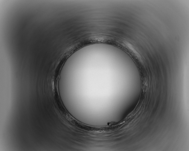 X0000096220500200801181032