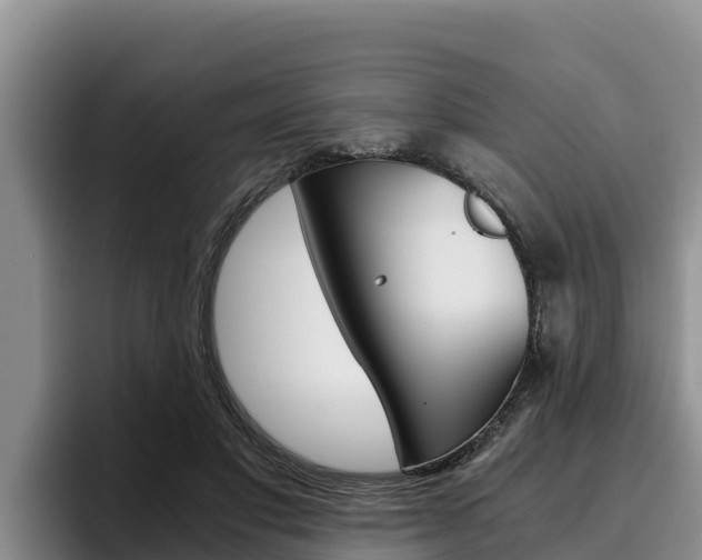 X0000096220501200801181032