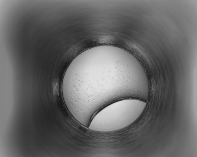 X0000096220502200801181032