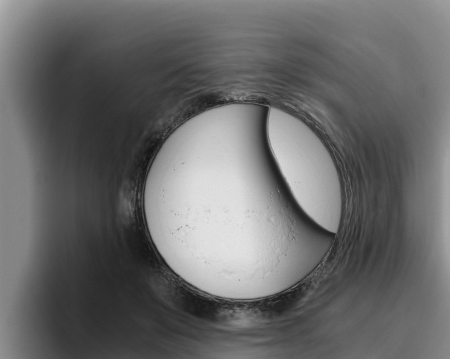 X0000096220503200801181032