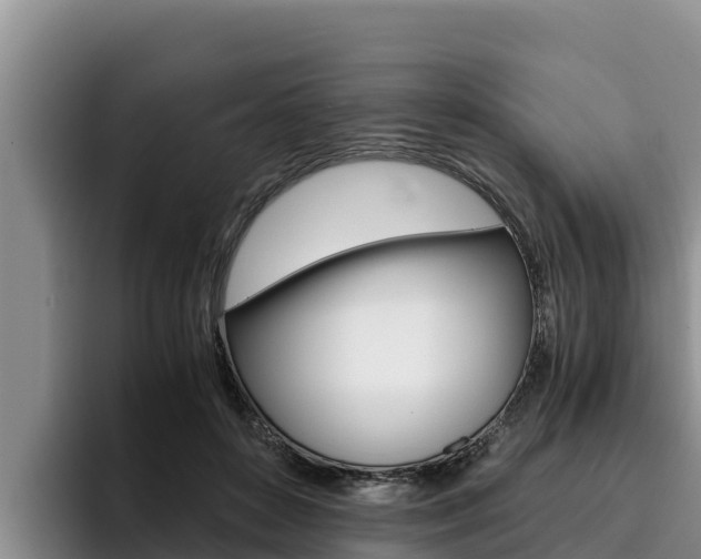X0000096220504200801181032