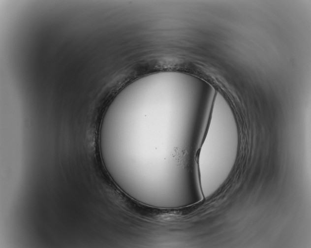 X0000096220505200801181032