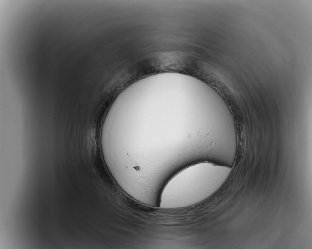 X0000096220506200801181032