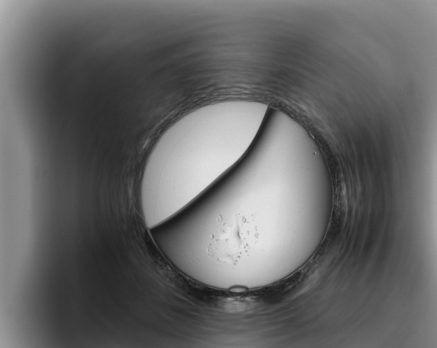 X0000096220508200801181032