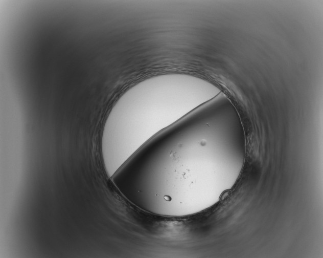 X0000096220509200801181032