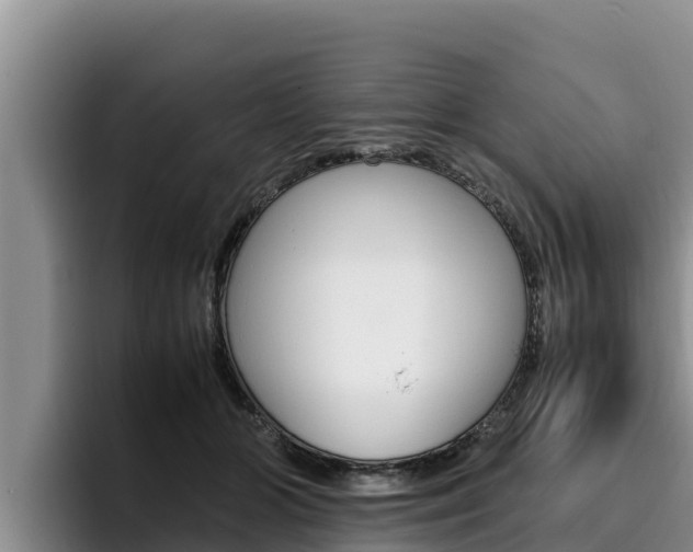 X0000096220510200801181032