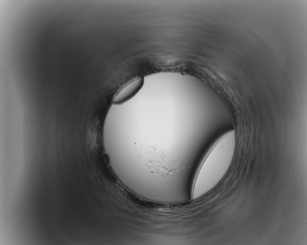 X0000096220515200801181032