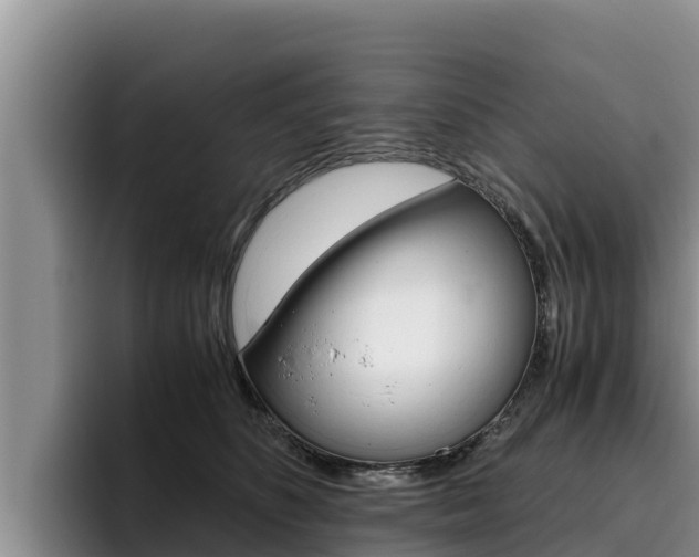 X0000096220516200801181032
