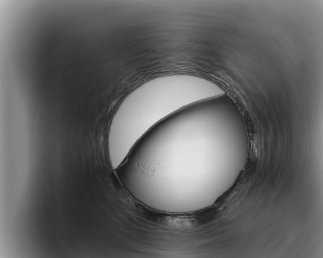 X0000096220520200801181032