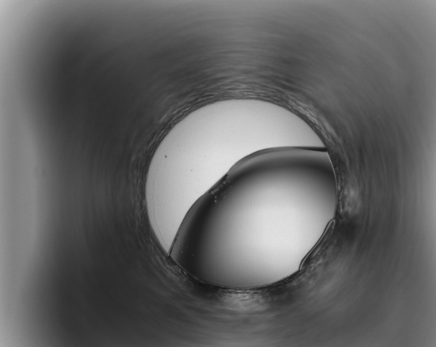 X0000096220521200801181032