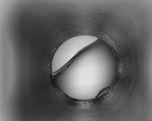 X0000096220524200801181032