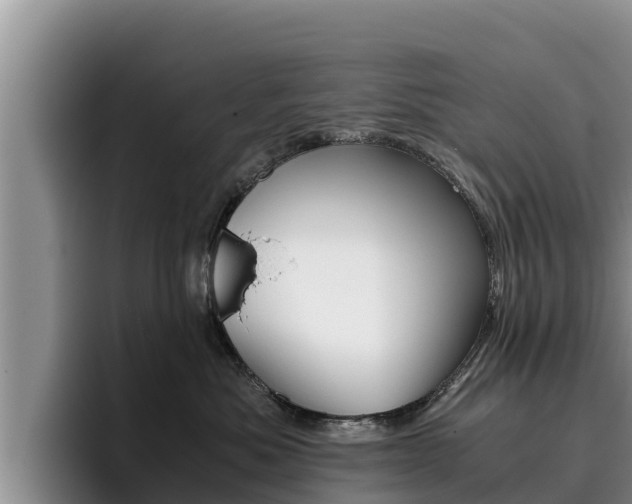 X0000096220525200801181032