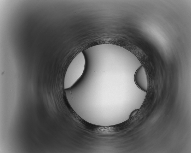 X0000096220526200801181032