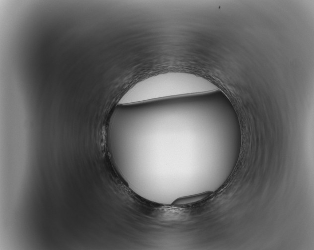 X0000096220528200801181032