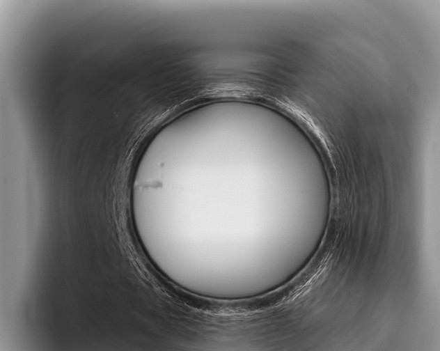 X0000096220529200801181031
