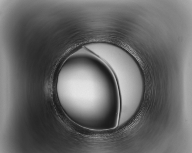 X0000096220530200801181031
